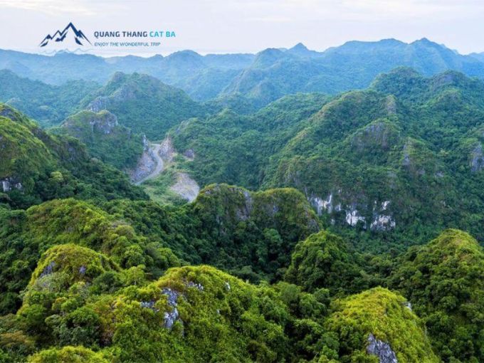 Tour trekking Cát Bà: Khám phá Vườn quốc gia & vịnh Lan Hạ