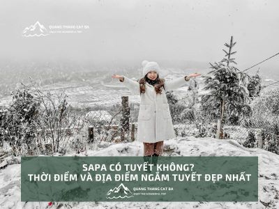 Sapa có tuyết không? Thời điểm và địa điểm ngắm tuyết đẹp nhất