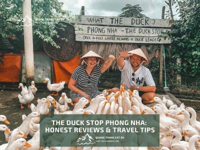 Duck stop phong nha ke bang