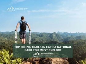 Top Hiking Trails in Cat Ba National Park You Must Explore