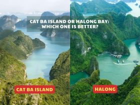 Cat Ba Island Or Halong Bay: Which One Is Better?