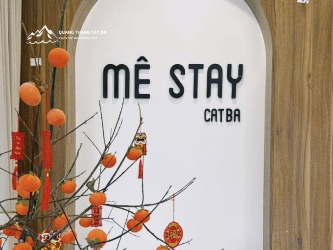 Mê Stay Cát Bà – Đặt Phòng & Dịch Vụ Trải Nghiệm Tốt Nhất