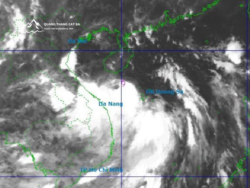 Hình ảnh vệ tinh của bão Maysak