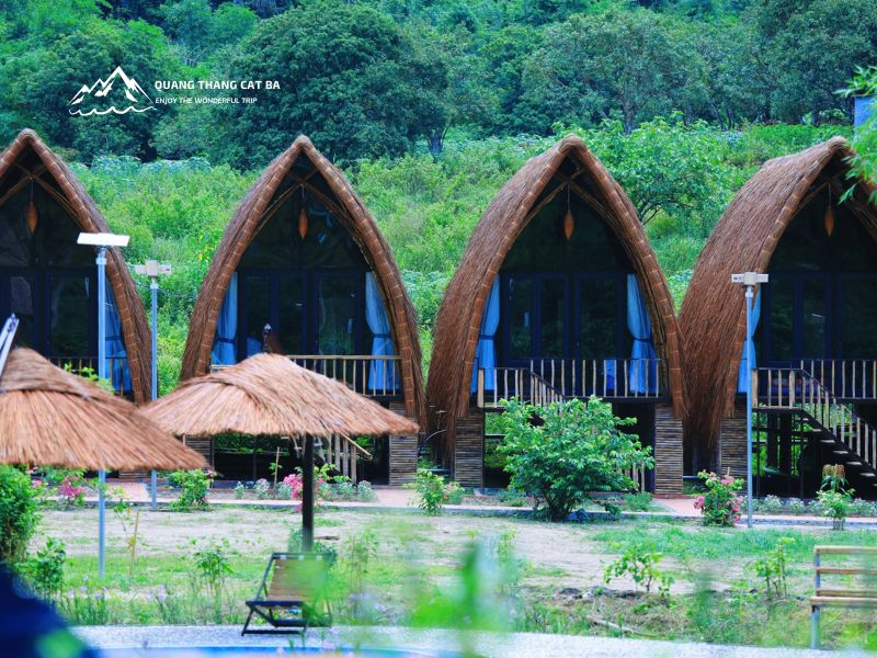 Hệ thống phòng tại Woodstock Jungle Camp Cát Bà