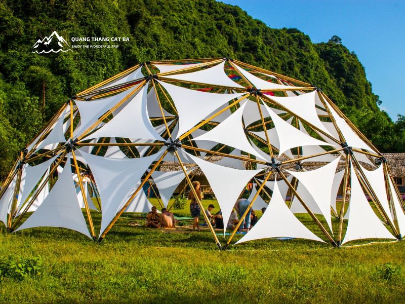 Woodstock Jungle Camp 1 