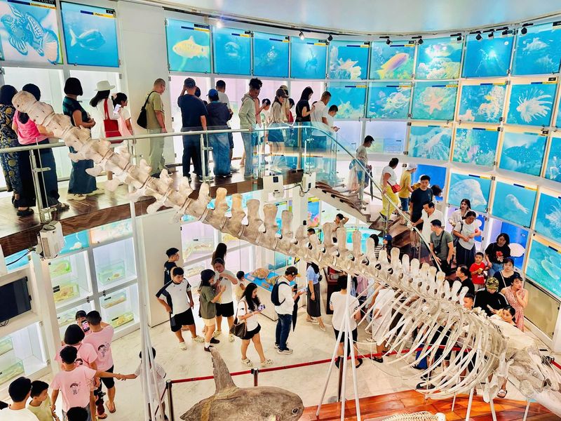 Quang Ninh Museum 2