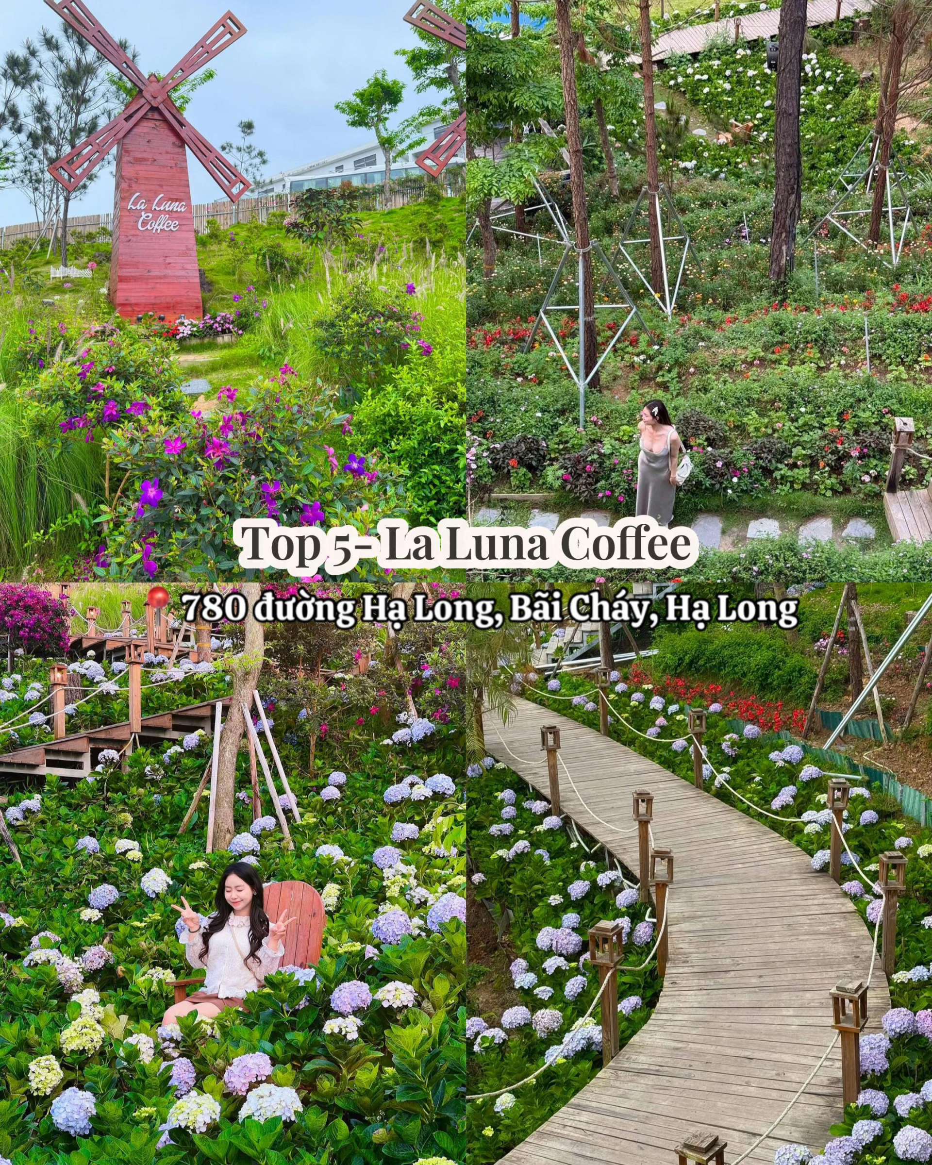La Luna Coffee