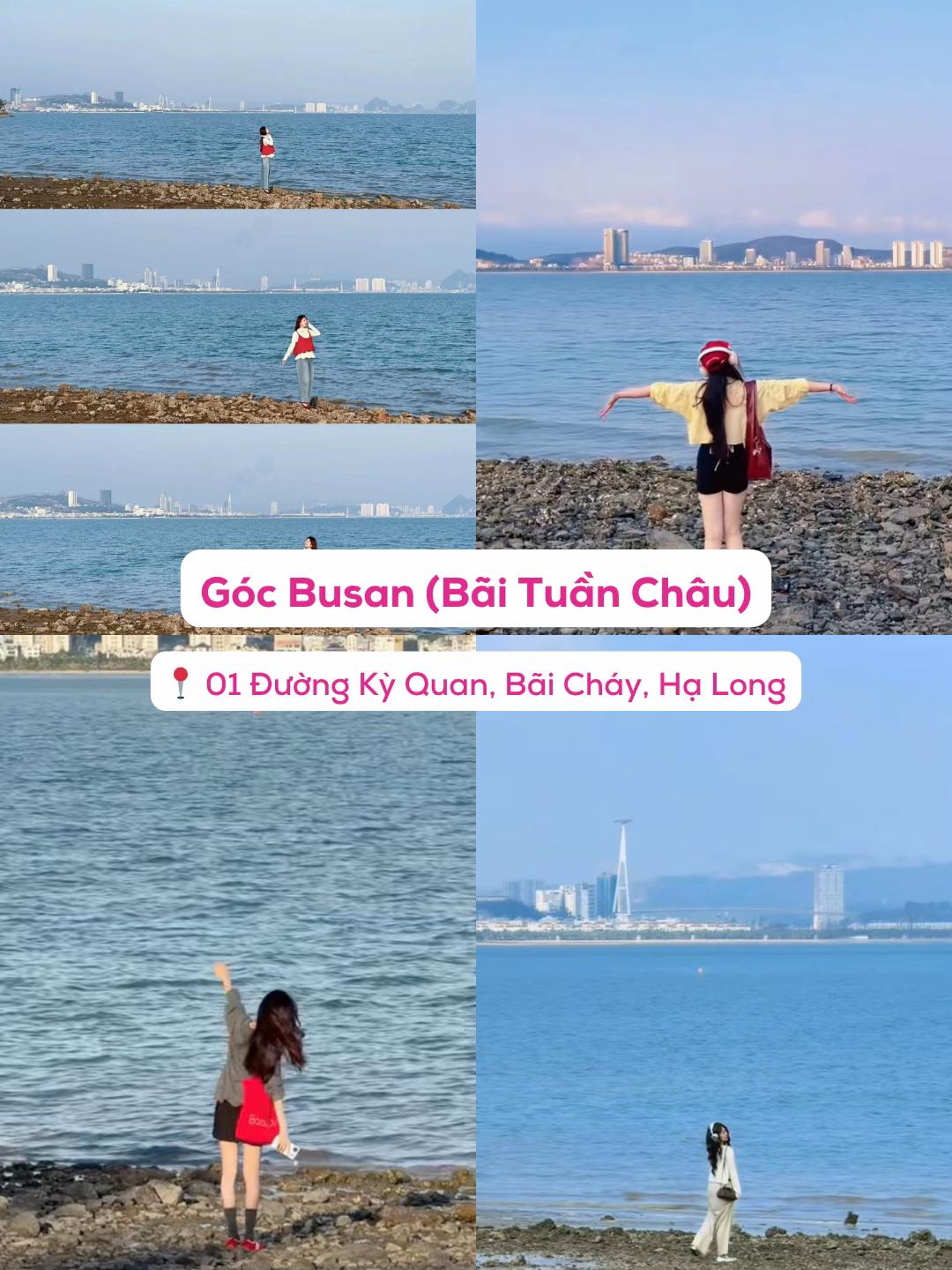 The “Busan corner”