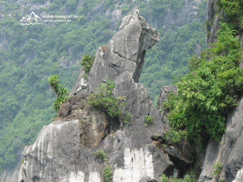 Hòn Chó Đá