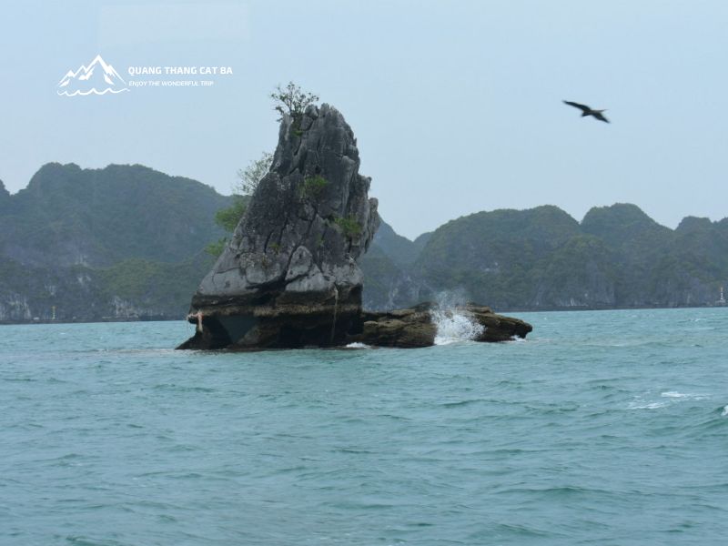 The views around Frog Islet are simply breathtaking