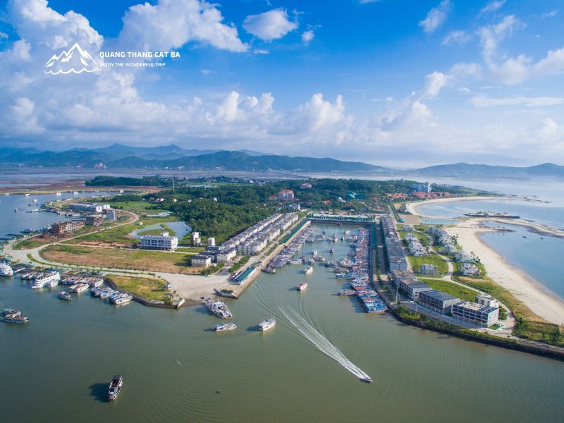 Bến cảng Tuần Châu