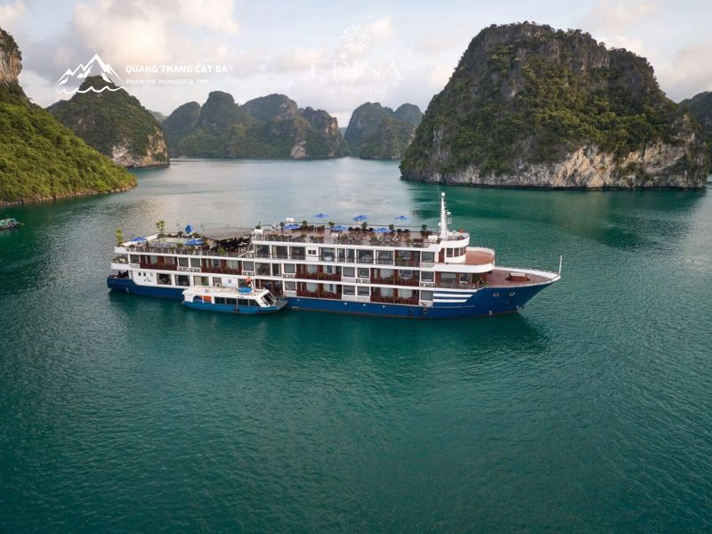 Erina Cruise Overview