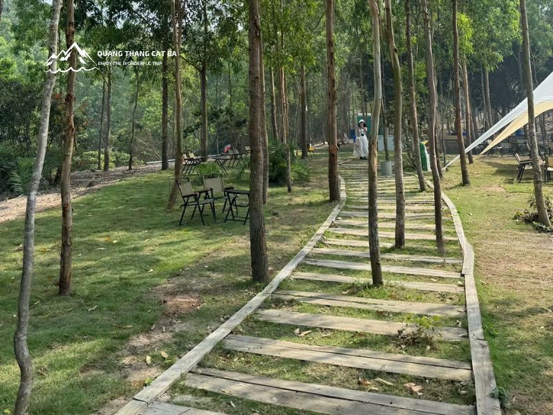 Đường đi lên Eo Gió (nguồn Nhungtda)