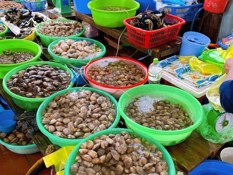 Hải sản tươi sống cát bà