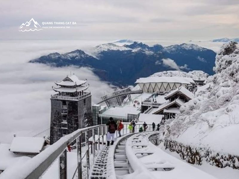 Nên chọn tour du lịch nào để ngắm tuyết Sapa