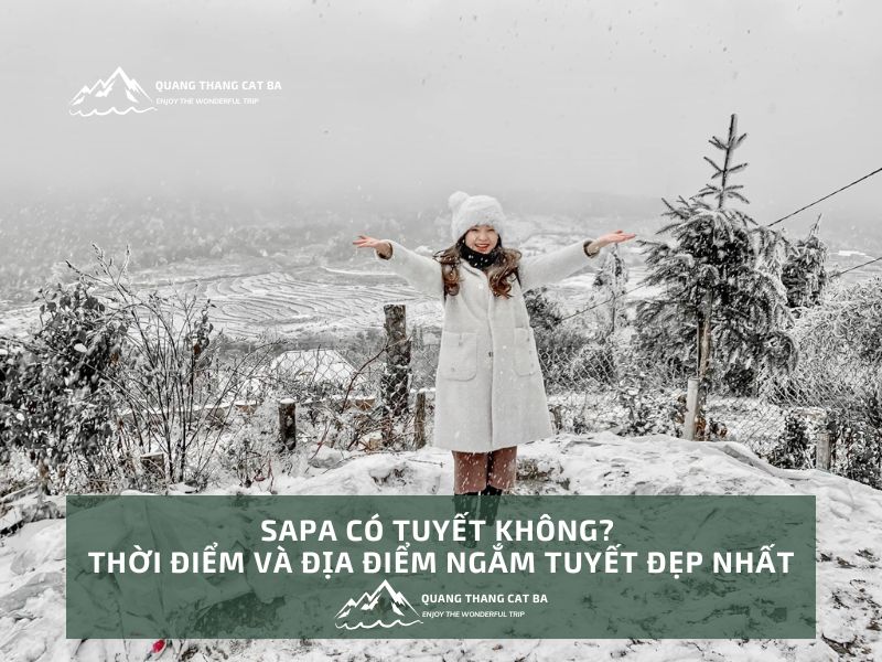 Sapa có tuyết không?