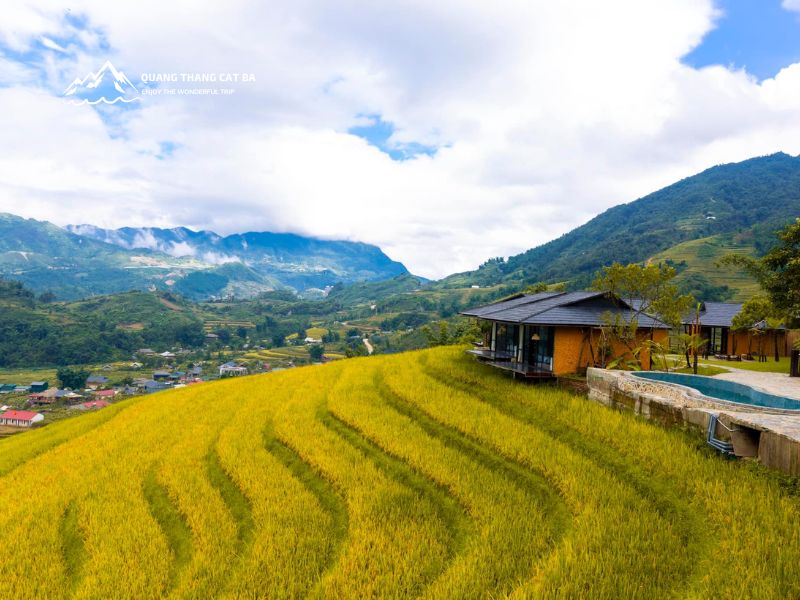 Mùa lúa chín tại Tả Phìn