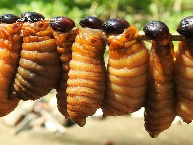 đuông chà là