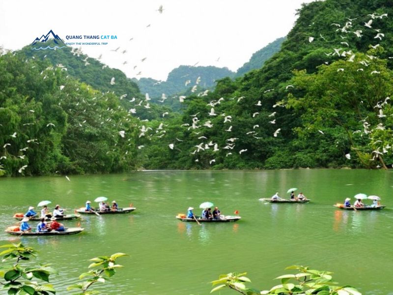 Thung Nham Bird Valley