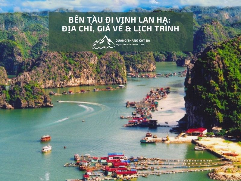 Bến Tàu Cái Bèo