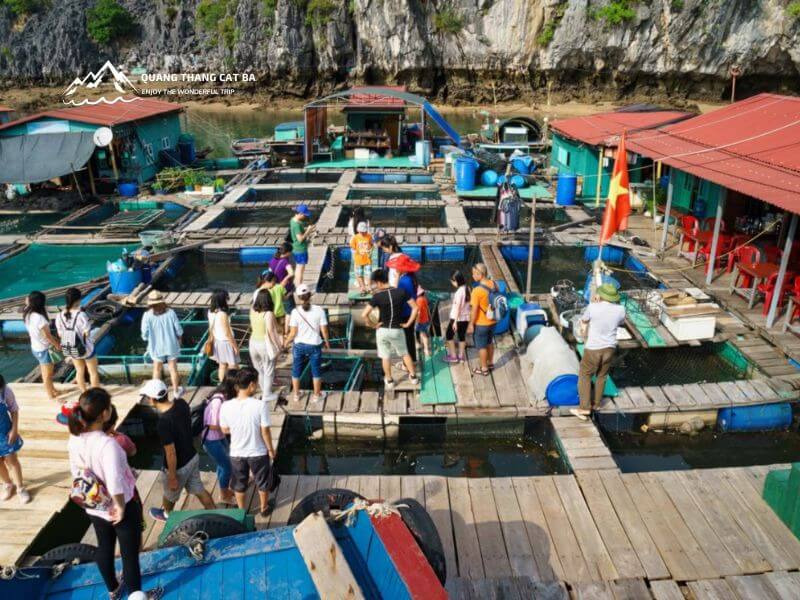 Cai beo floating village 