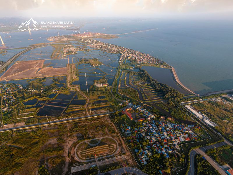 Đảo Cát Hải