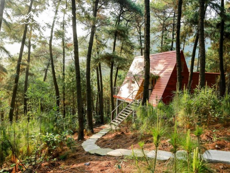 Suoi Goi Cat Ba Eco-Lodge Resort