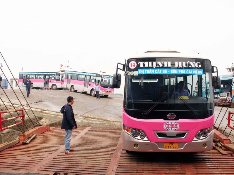 Xe buýt đi ra đảo Cát Bà