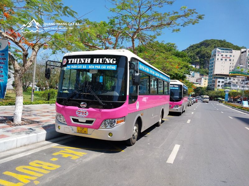 Xe Buýt Tuyến 14 Cát Bà