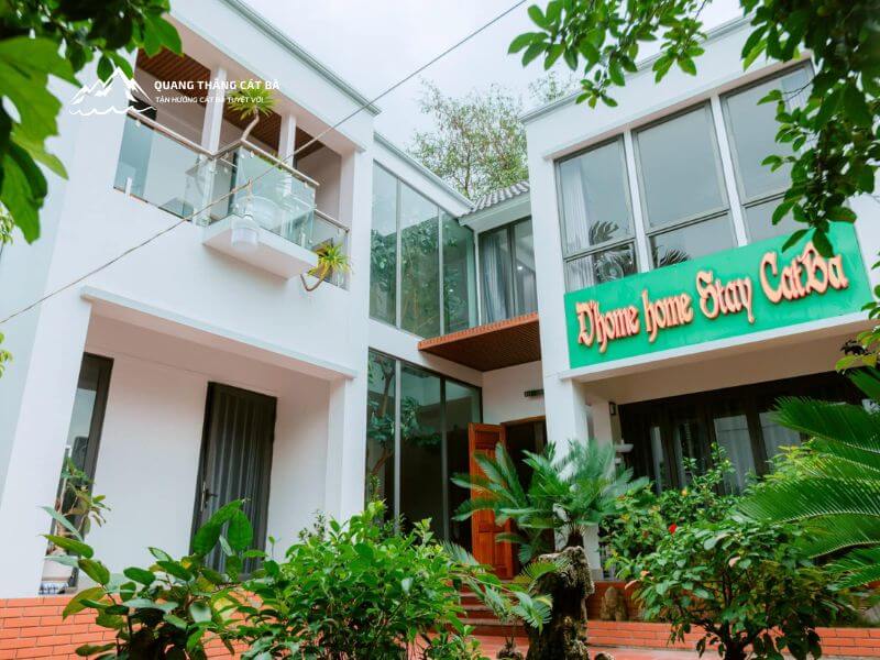 D'home Homestay Cát Bà
