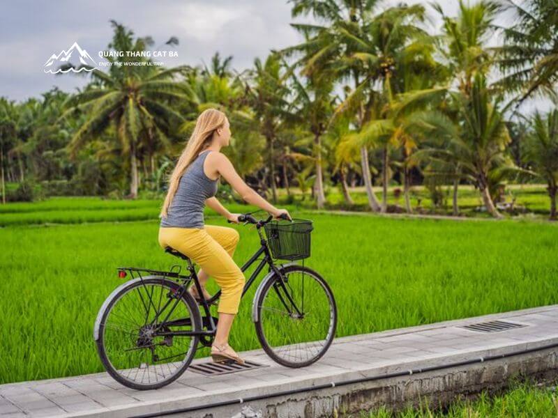 Cycling Through Rice Fields