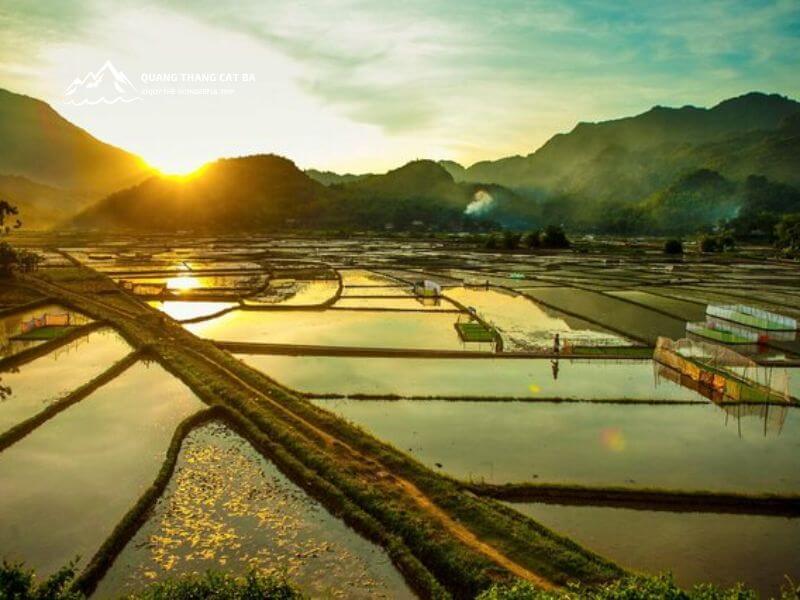 Mai Chau
