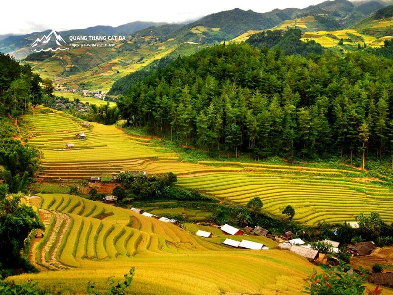 Mai Chau