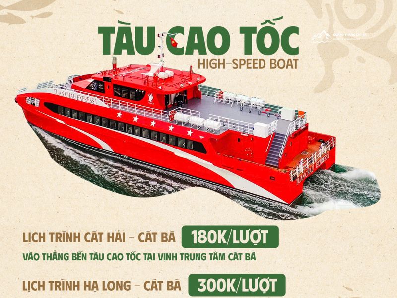 Speedboat Cat Ba