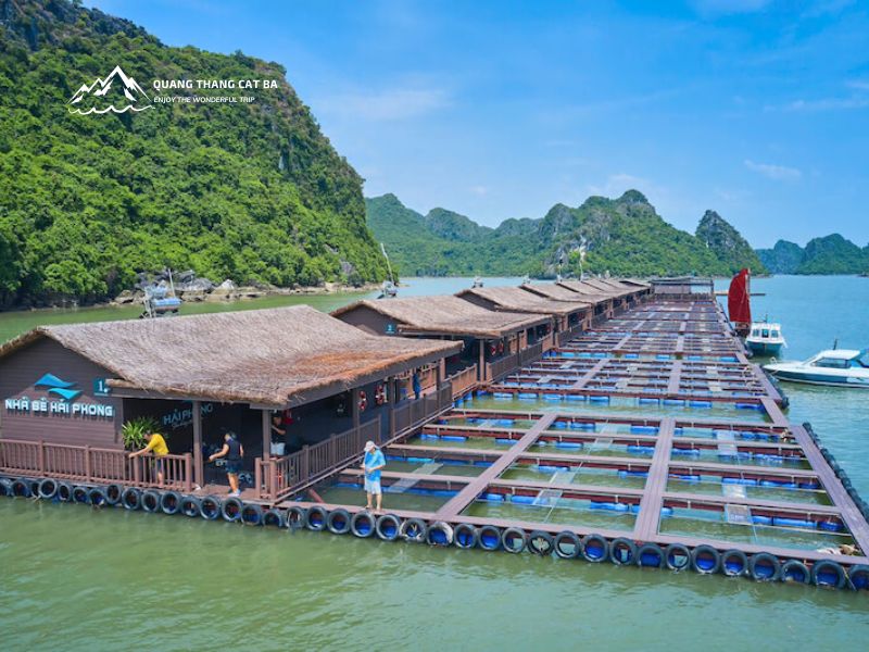 Overview of Hai Phong Floating House