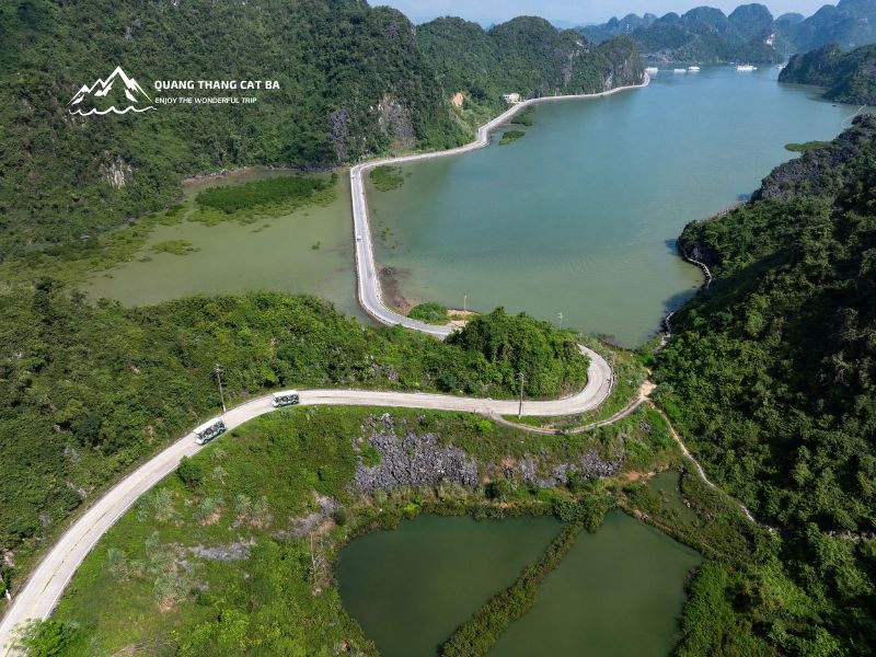 Electric cart ride through Cat Ba National Park