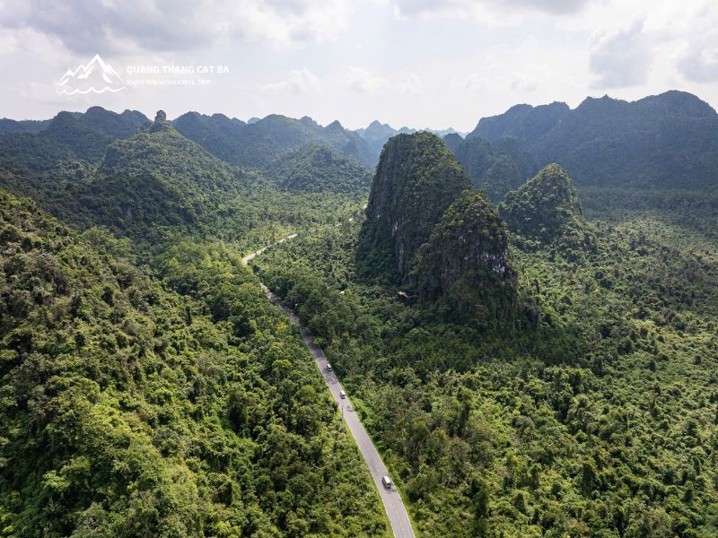 Xe đưa quý khách đến vườn Quốc Gia Cát Bà