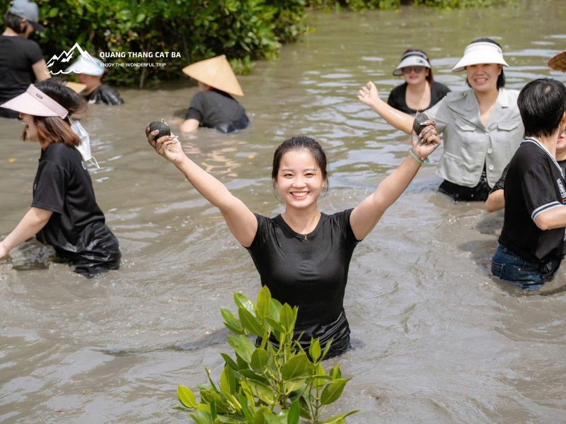 Tour rừng ngập mặn Cát Bà 1 ngày