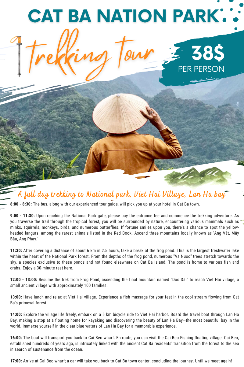 Exploring the Wonders of Trekking in Cat Ba National Park 9