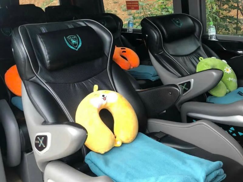 Limousine inside (Cat Ba to Cao Bang bus)