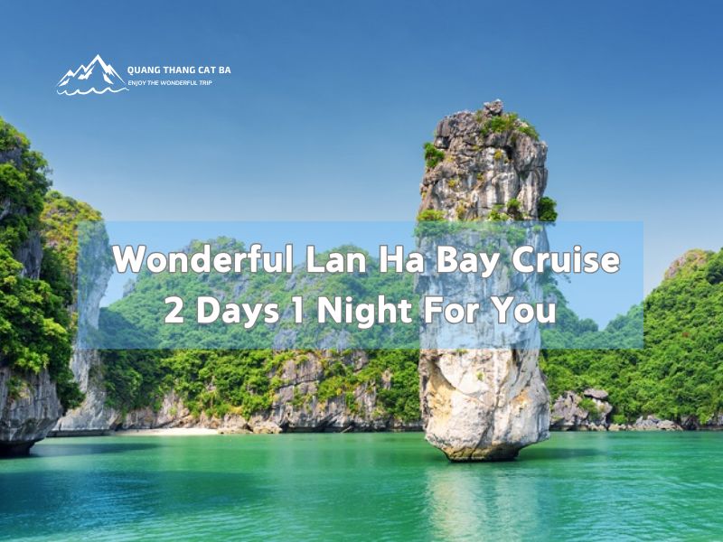 lan ha bay cruise 2 days 1 night 1