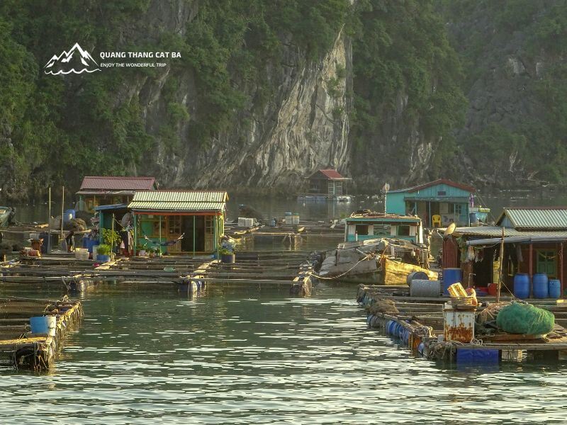 cai beo fishing village 1