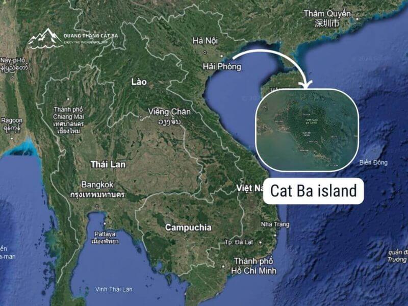 cat ba map8