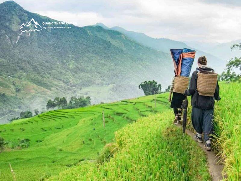 sapa trải nghiệm thực tế