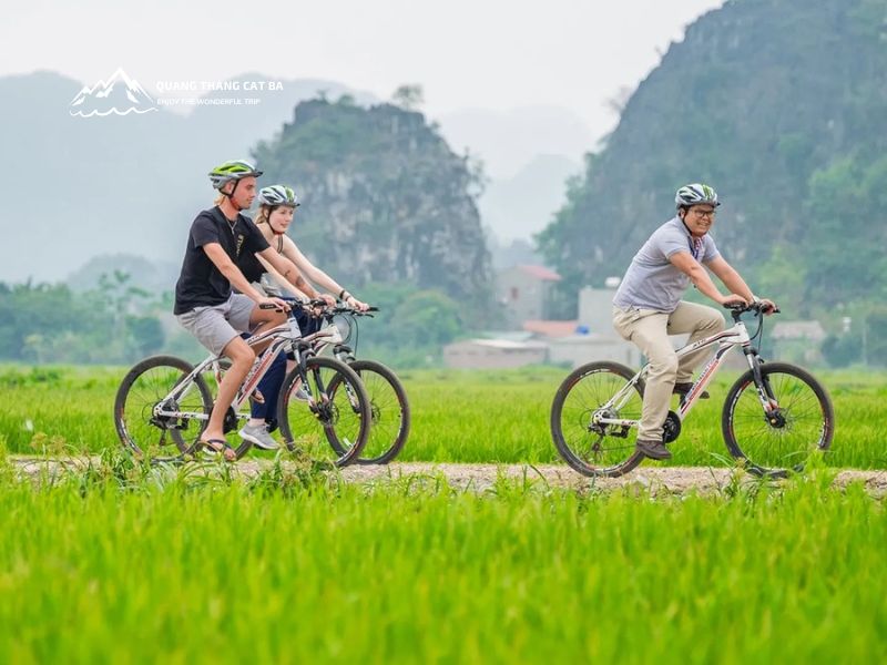 Đạp xe qua các đồng lúa tại làng Việt Hải