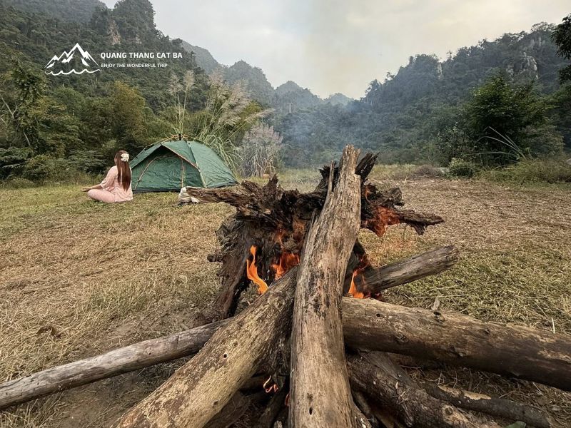 Thức dậy giữa rừng