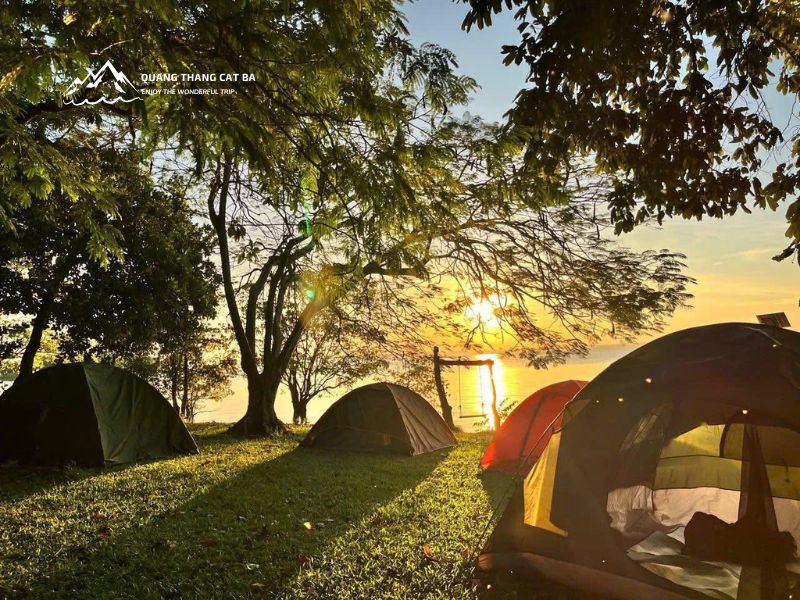  Trở về khu cắm trại 