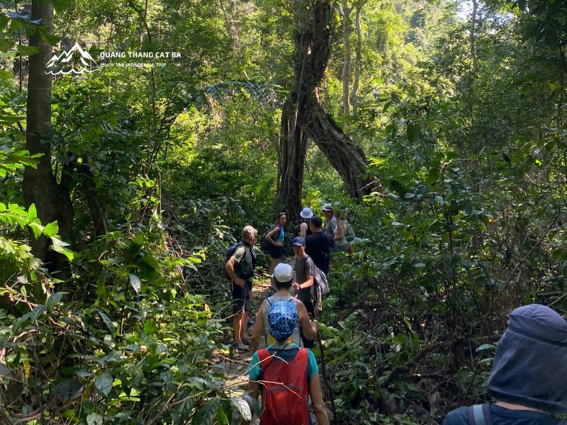 Trải nghiệm trekking vườn quốc gia Cát Bà 1 ngày