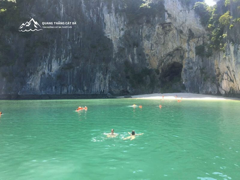 lan ha bay swimming