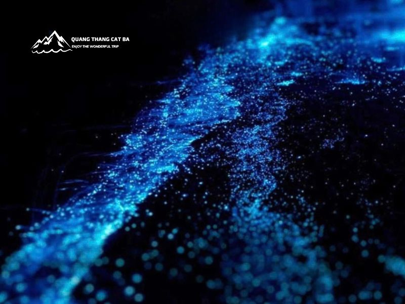 Hiện tượng lân tinh phát sáng ở Vịnh Lan Hạ